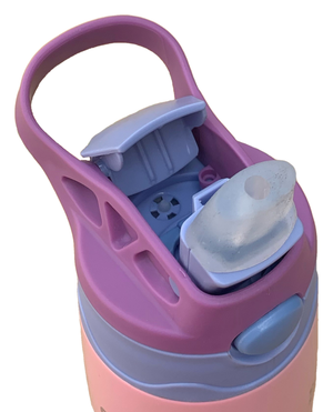 Borraccia Termica con Beccuccio Frozen DISNEY 450 Ml Apertura Automatica - Fr22080