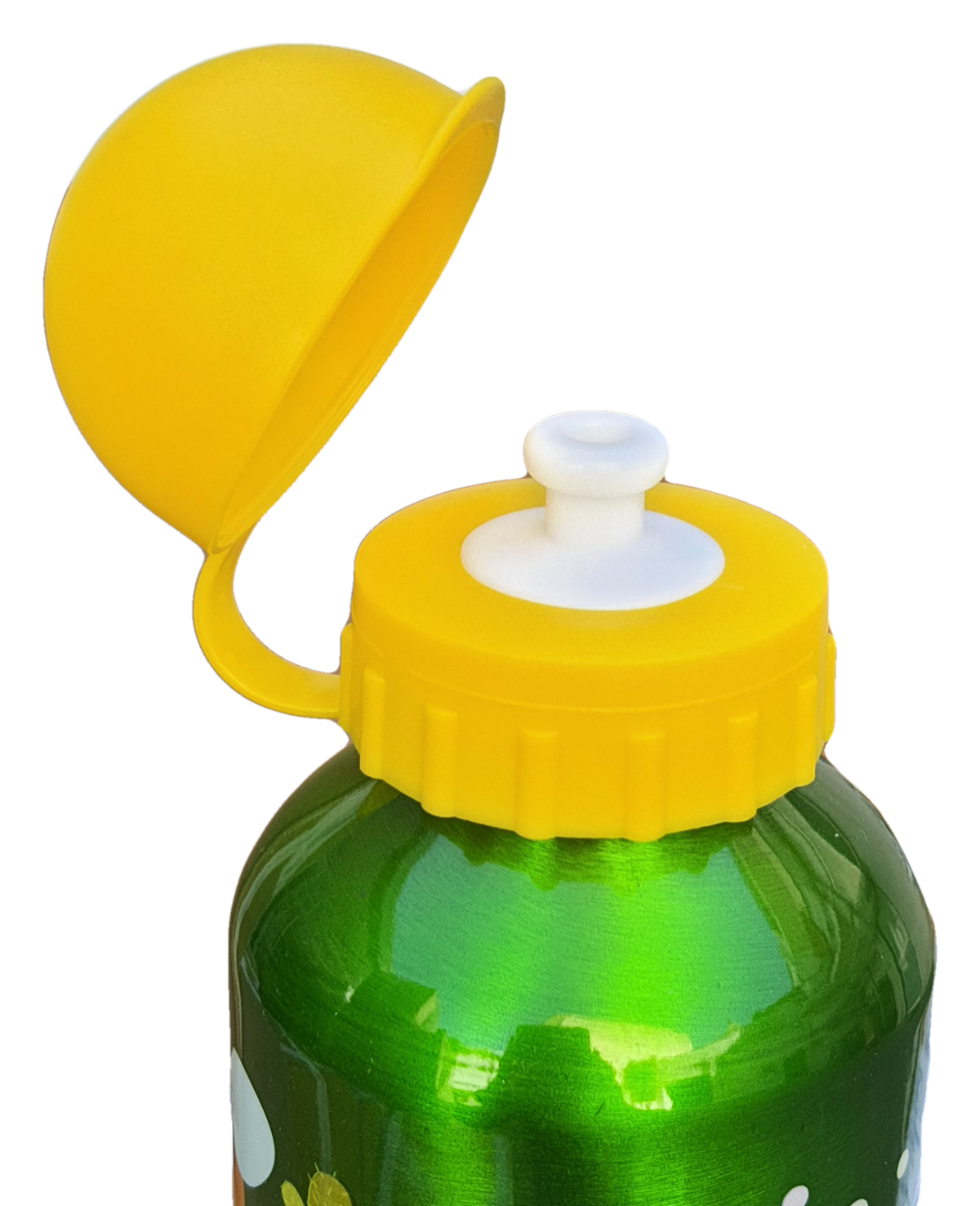 Borraccia in Alluminio Dinosauri Preistoria con Beccuccio e Coperchio 500 Ml - St07558