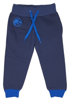 Tuta Maglione Pantalone Jurassic World Bambino Sun City - Vh1179blu
