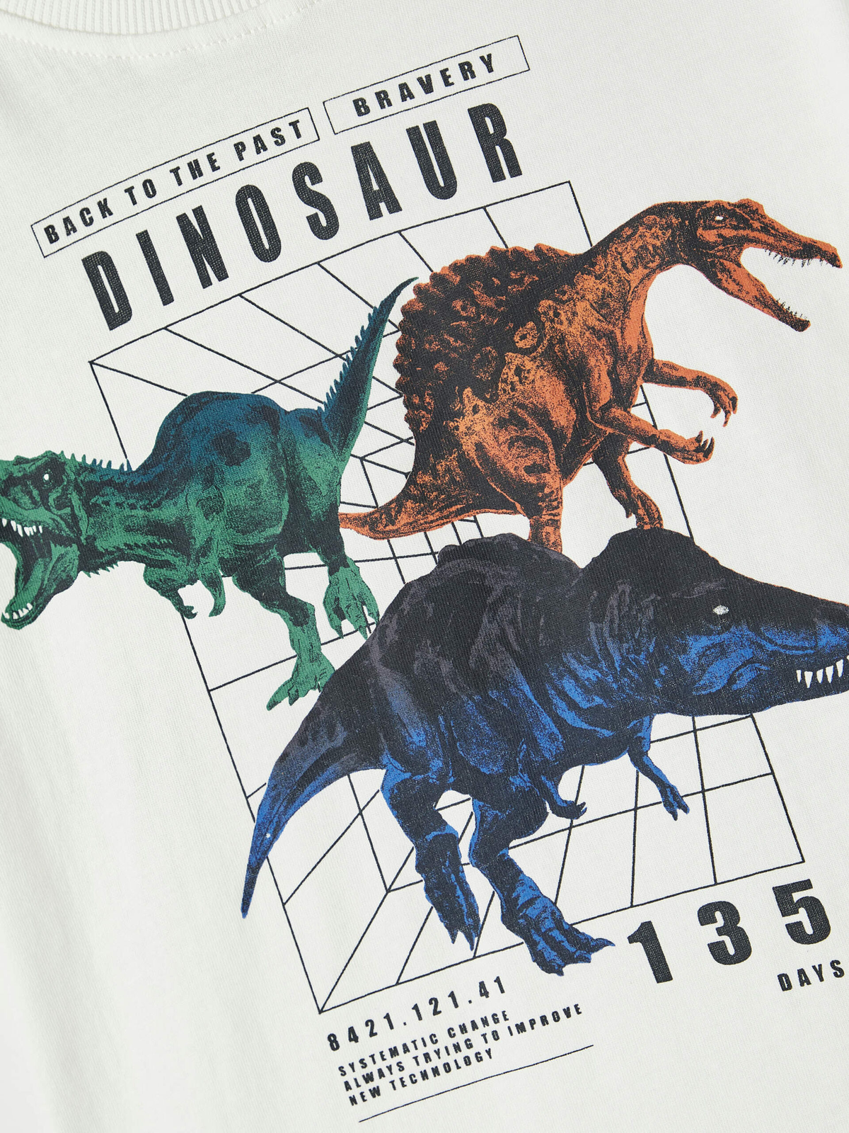 T-Shirt M.c. Dinosauri Maglietta Ragazzo - 13213230bianco