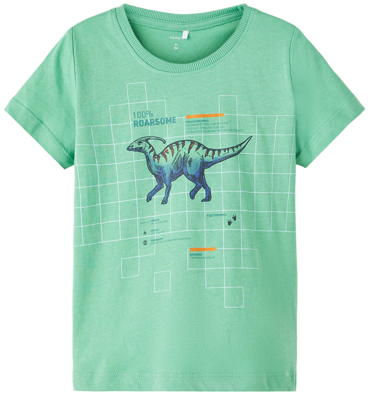T-Shirt M.c. Dinosauri Maglietta Bambino - 13213252verde