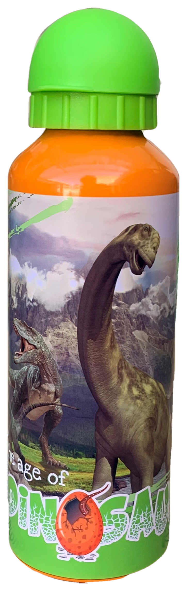 Borraccia in Alluminio Dinosauri Preistoria con Beccuccio e Coperchio 500 Ml - X06394mc/a