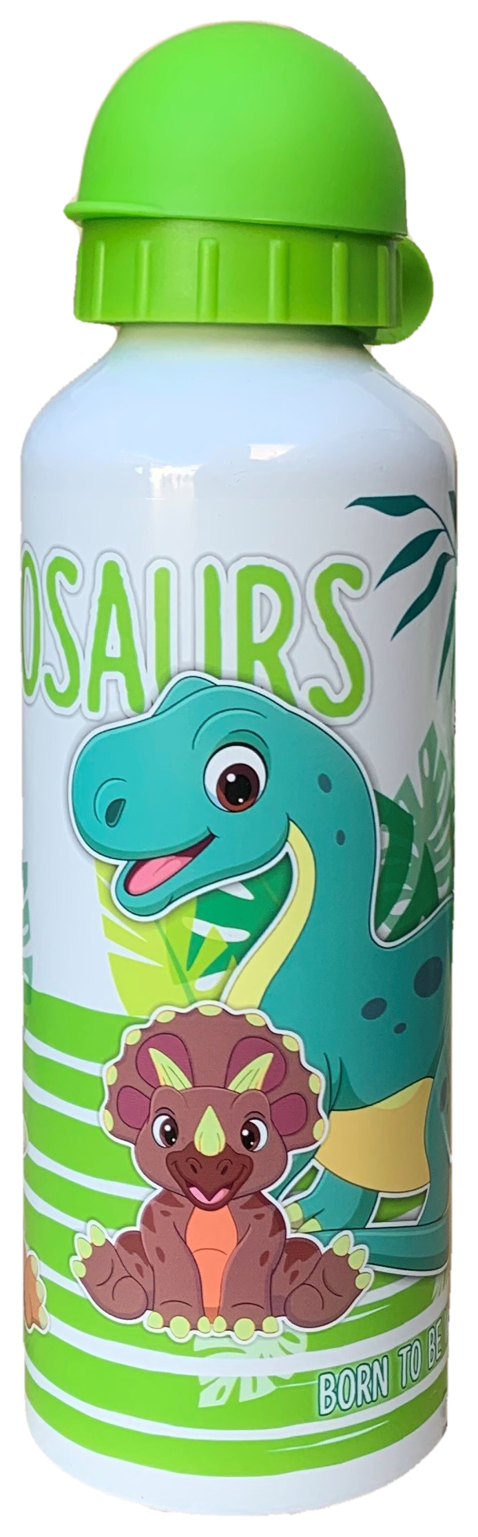 Borraccia in Alluminio Dinosauri Preistoria con Beccuccio e Coperchio 500 Ml - X06394mc/b