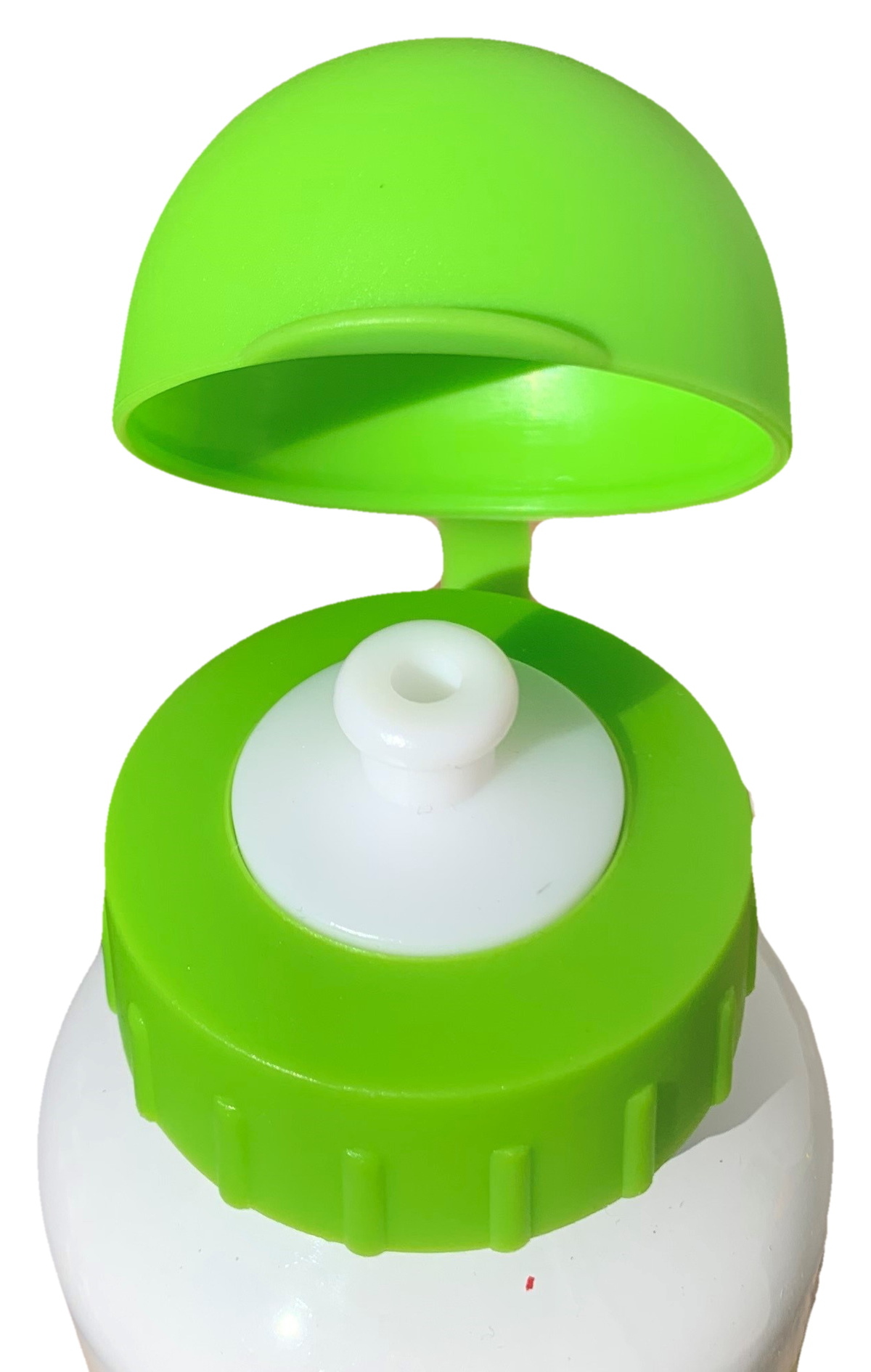Borraccia in Alluminio Dinosauri Preistoria con Beccuccio e Coperchio 500 Ml - X06394mc/b