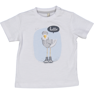 T-Shirt Maglietta Bambino Birba 100% Co - 64101.00/g