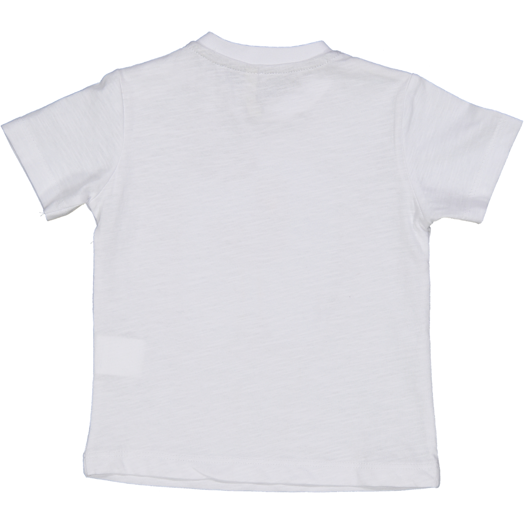T-Shirt Maglietta Bambino Birba 100% Co - 64101.00/g