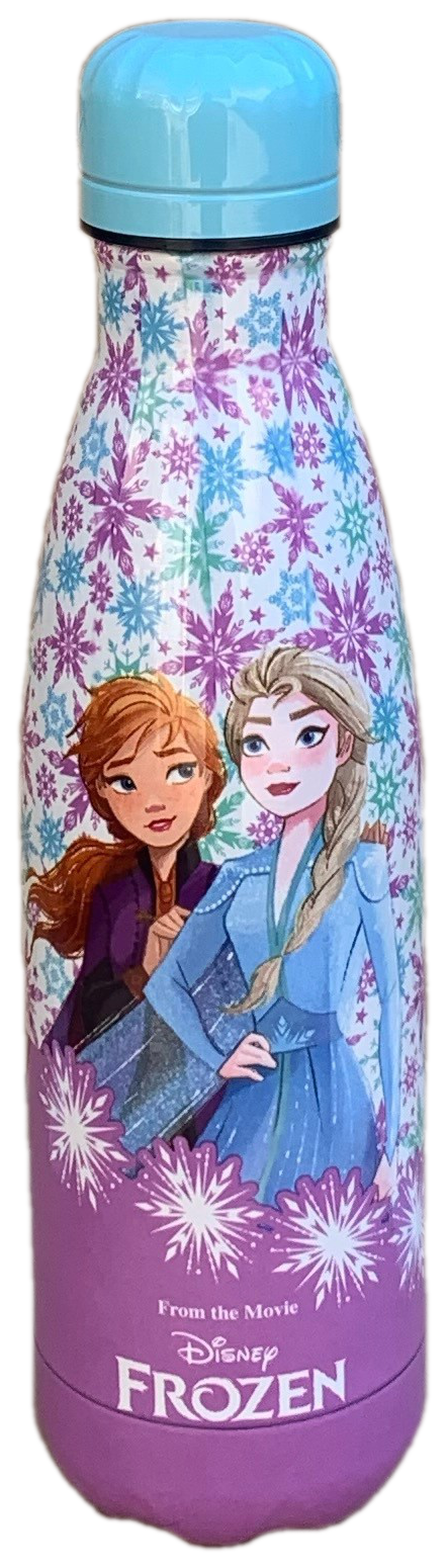 Bottiglia Termica in Acciaio Inossidabile Frozen Ii DISNEY con Tappo Svitabile 500 Ml - D02181te