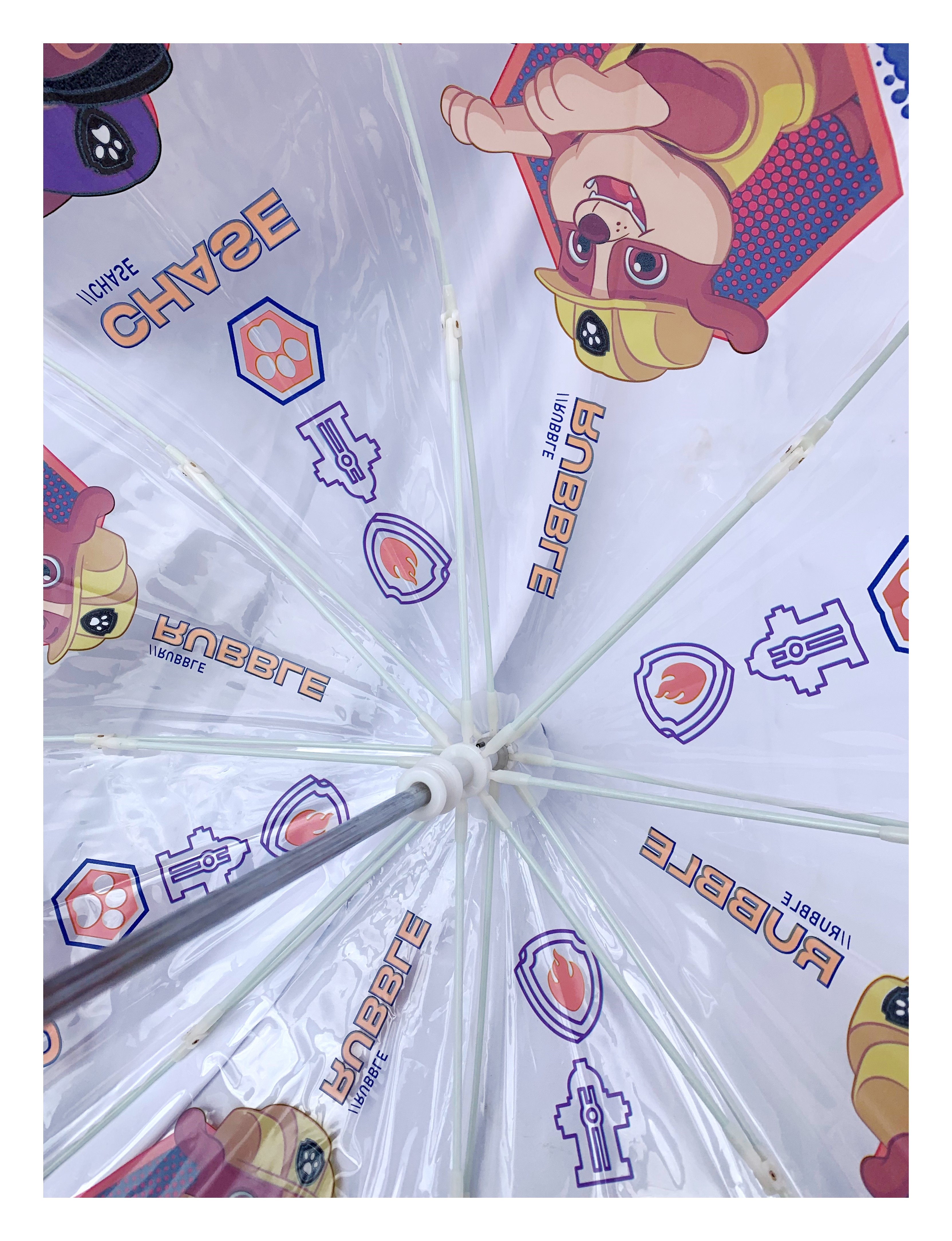 Ombrello Campana Trasparente Paw Patrol Bambino - Pw19921