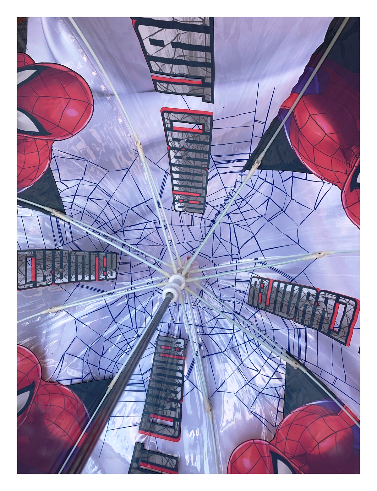 Ombrello Campana Trasparente Spiderman MARVEL Bambino - Sp50024