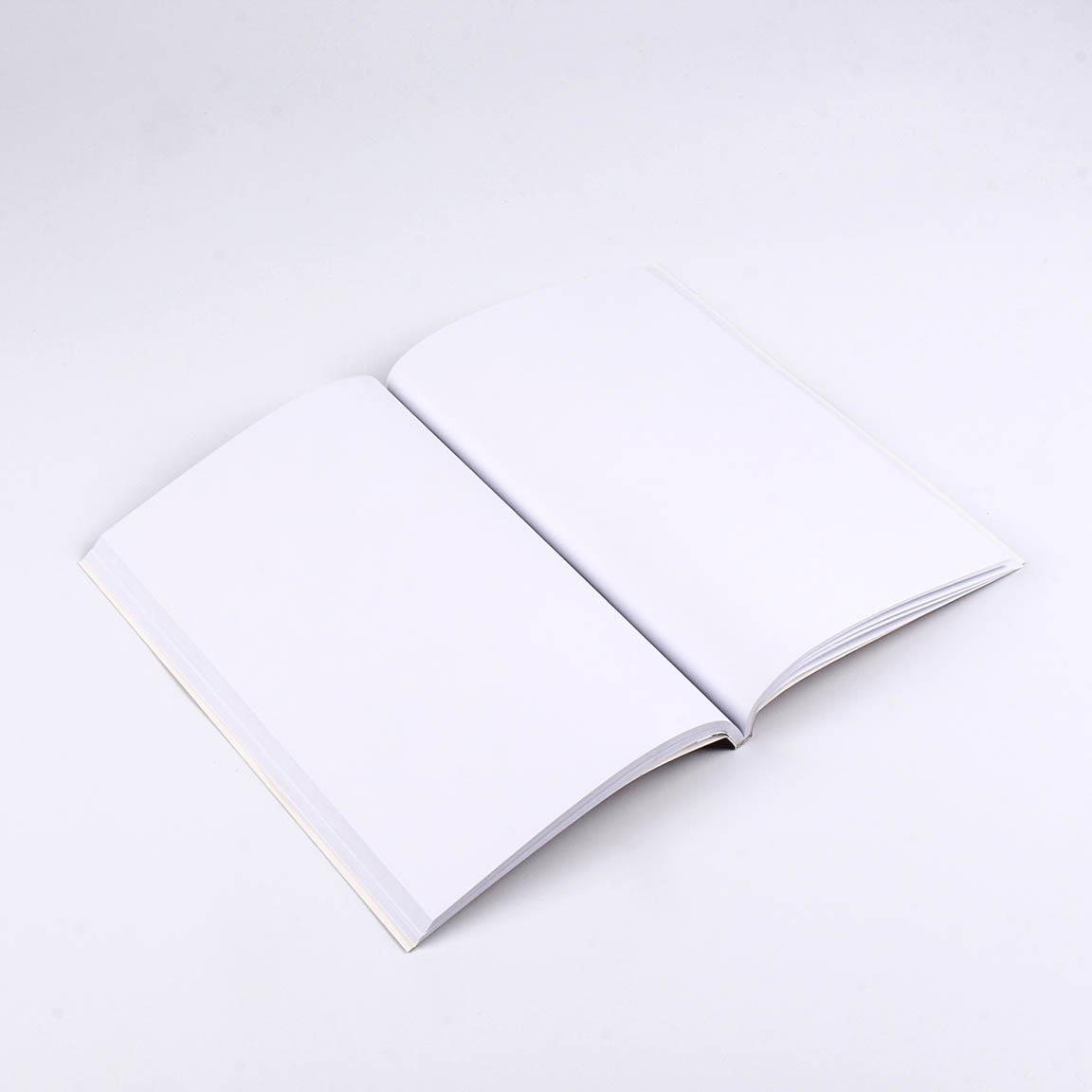 Set Block Notes + Penna Harry Potter Grifondoro Diario Appunti Confezione Regalo - 0461