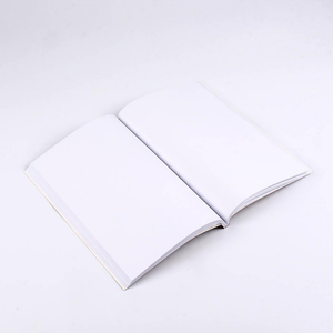 Set Block Notes + Penna Harry Potter Grifondoro Diario Appunti Confezione Regalo - 0461