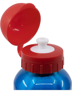 Set Borraccia in Alluminio e Portamerenda Multiscomparto Super Mario 2 Pezzi Bpa Free