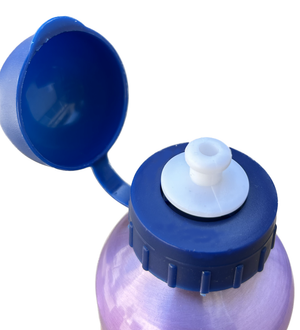 Set Borraccia in Alluminio e Portamerenda Multiscomparto Frozen DISNEY 2 Pezzi Bpa Free