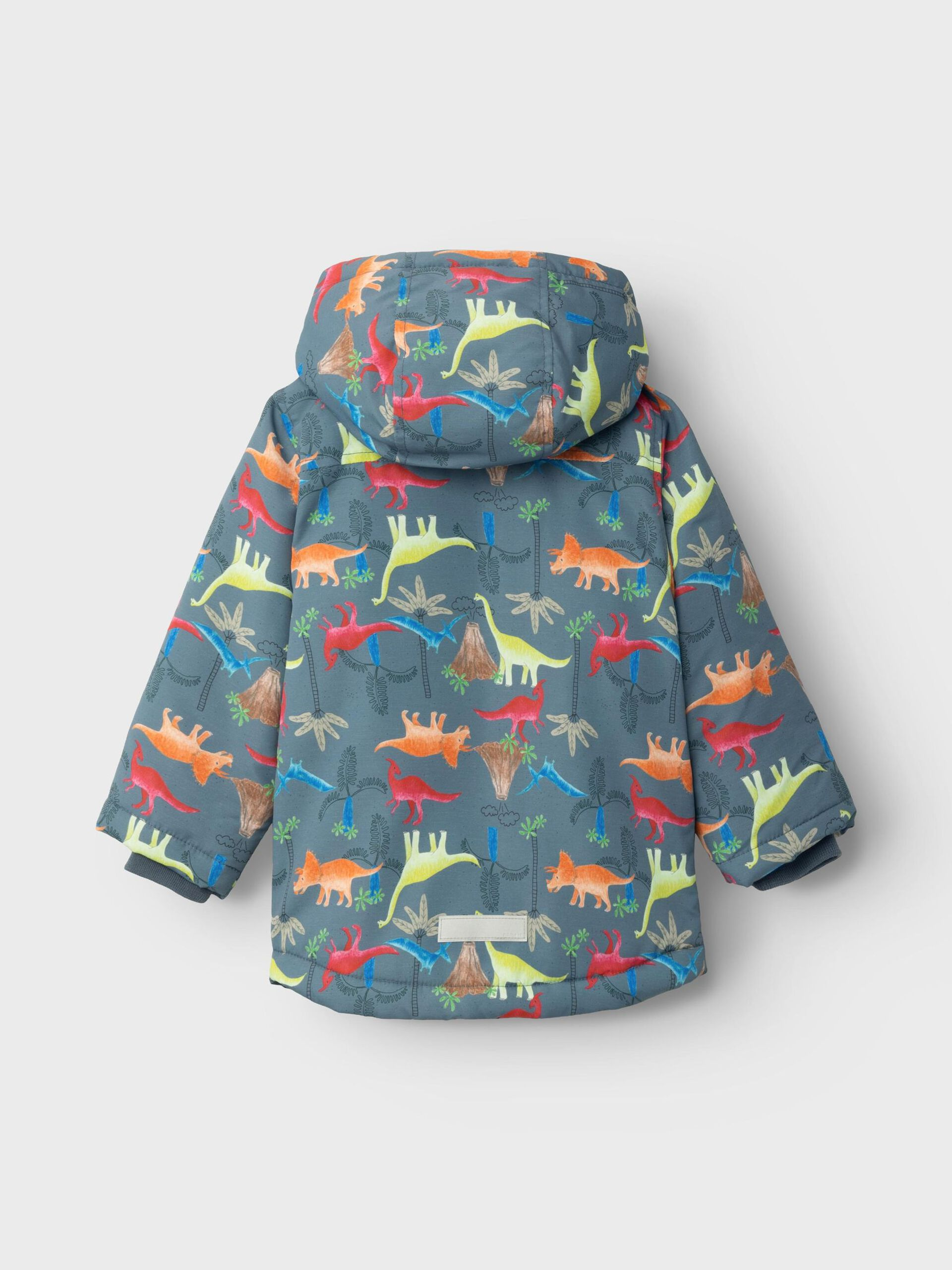 Giubbotto con Cappuccio Dinosauri Bambino - 13220354
