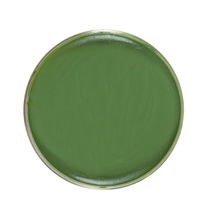 Make-Up Verde in Vaschetta 25 G Trucco Accessori Travestimento Carnevale Halloween - 02396