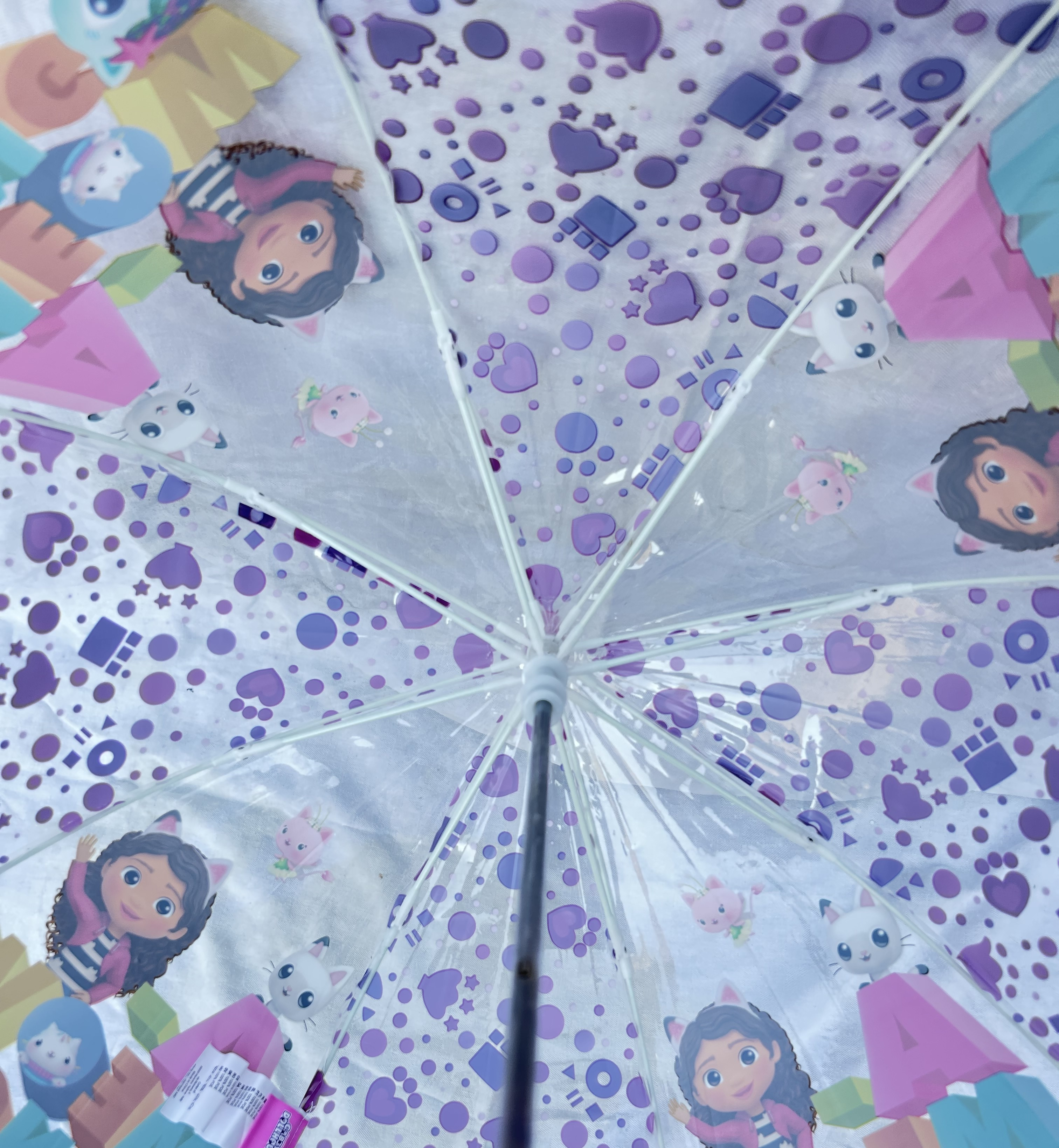 Set Pioggia Mantellina + Ombrello a Cupola Gabby's Dollhouse 3/4 Anni Bambina - O0764mc+o0795mc