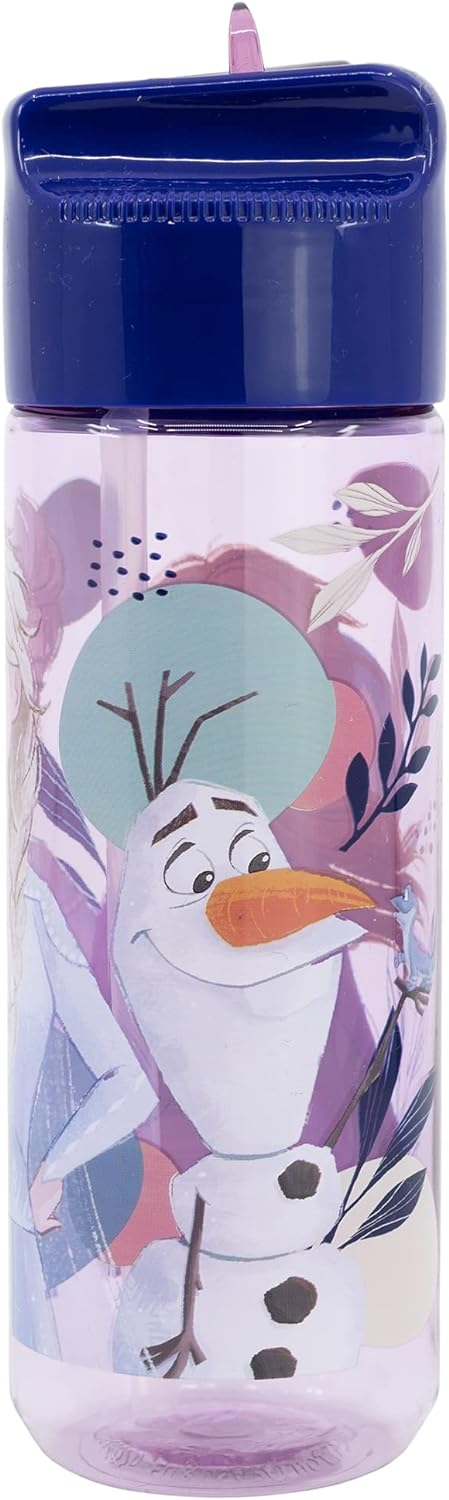 Borraccia Frozen DISNEY in Tritan Ecozen con Beccuccio Ripiegabile Ml. 540 - 74223