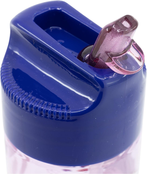 Borraccia Frozen DISNEY in Tritan Ecozen con Beccuccio Ripiegabile Ml. 540 - 74223