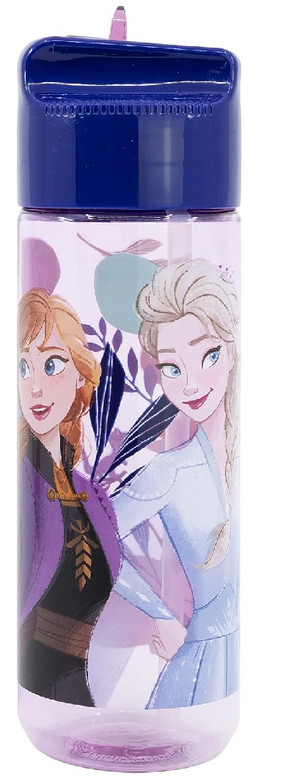 Borraccia Frozen DISNEY in Tritan Ecozen con Beccuccio Ripiegabile Ml. 540 - 74223