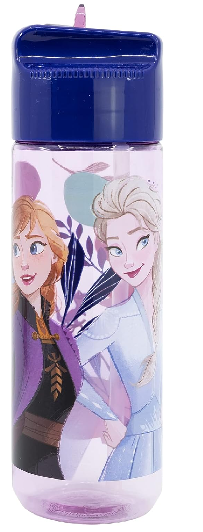 Borraccia Frozen DISNEY in Tritan Ecozen con Beccuccio Ripiegabile Ml. 540 - 74223