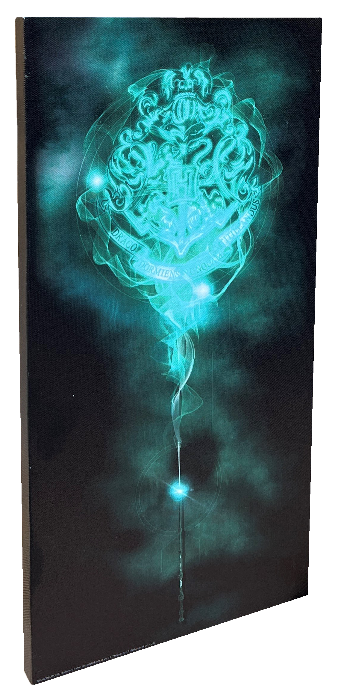 Tela Harry Potter Hogwarts Quadro con Luci a LED a Batterie 40 CM - 23898