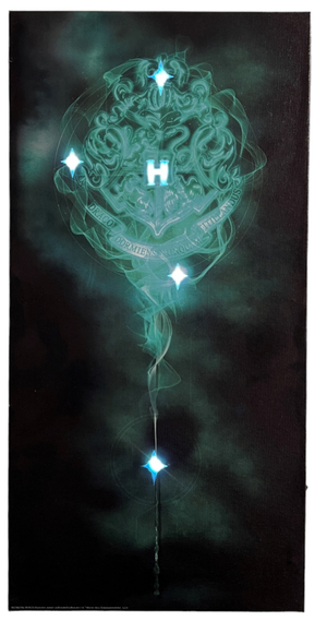 Tela Harry Potter Hogwarts Quadro con Luci a LED a Batterie 40 CM - 23898