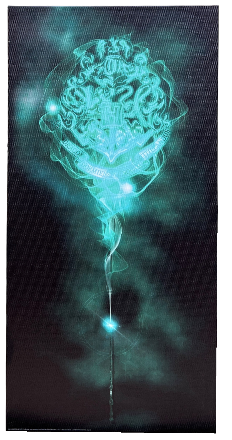 Tela Harry Potter Hogwarts Quadro con Luci a LED a Batterie 40 CM - 23898