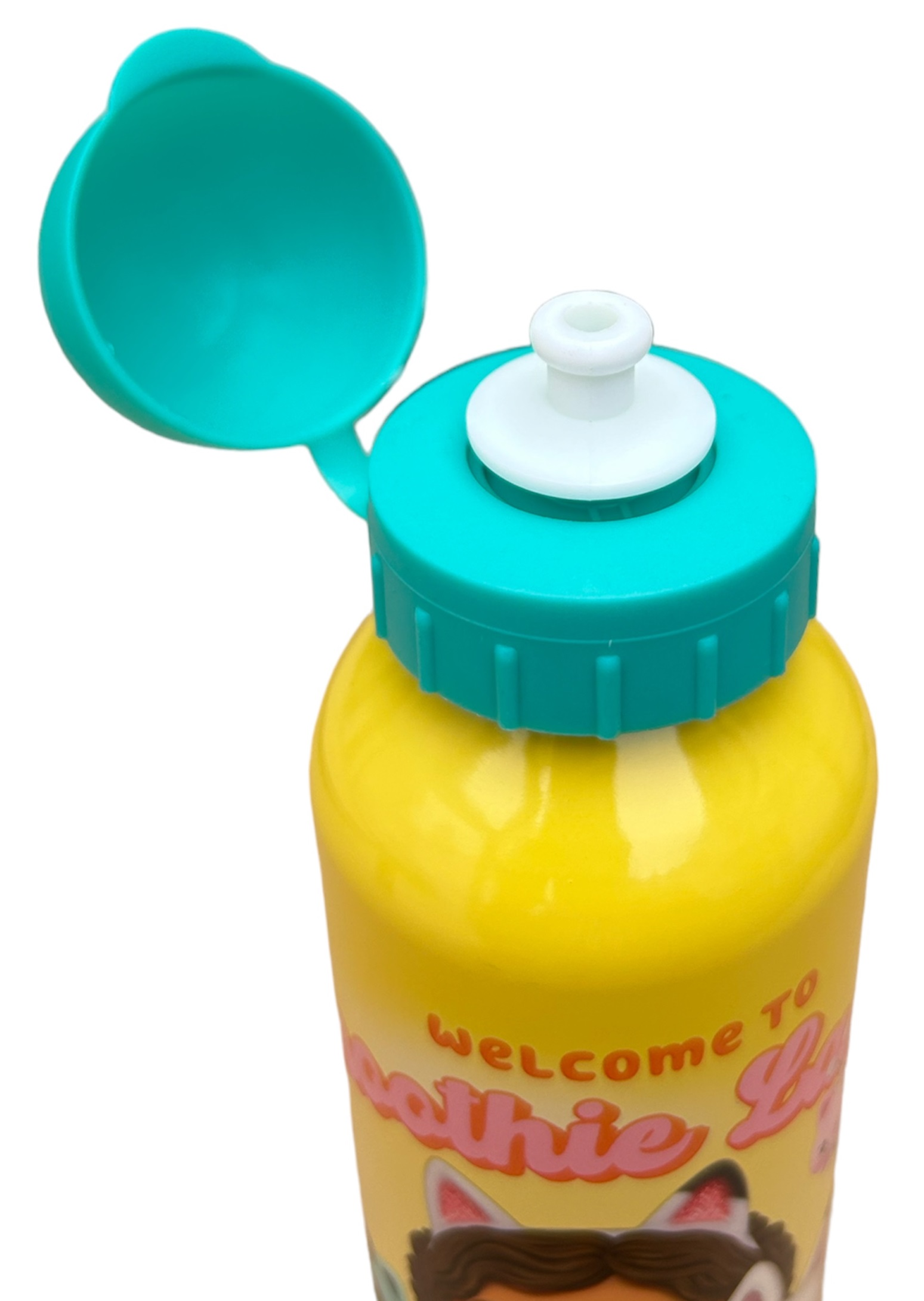 Borraccia in Alluminio Gabby's Dollhouse con Beccuccio e Coperchio 500 Ml - Gd00009/t