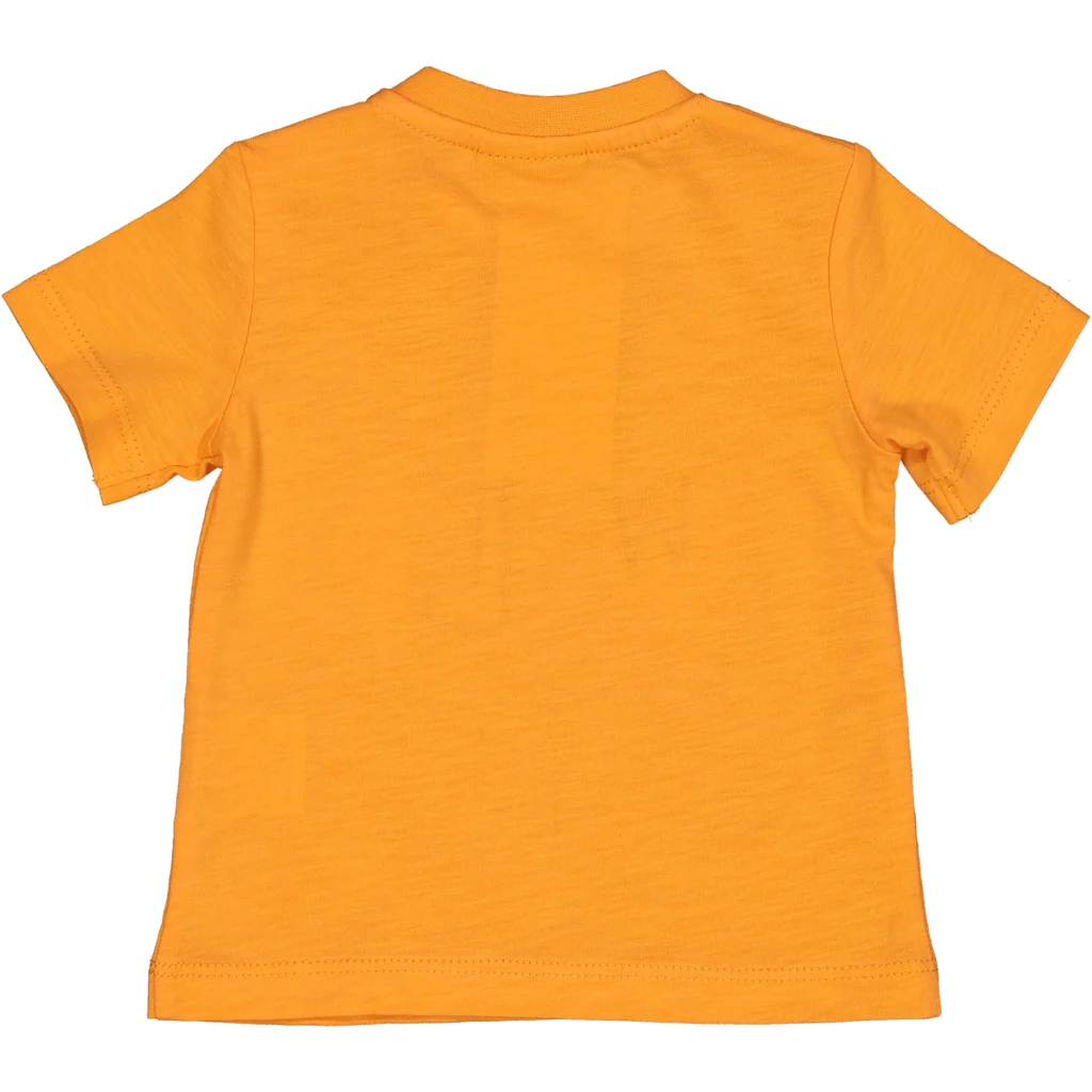 T-Shirt con Stampa Wild Maglietta Bambino Birba 100% Co - 84030.00.35m