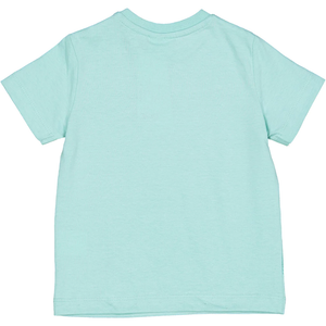 T-Shirt Coccodrillo Maglietta Bambino Birba 100% Co - 84066.00/g
