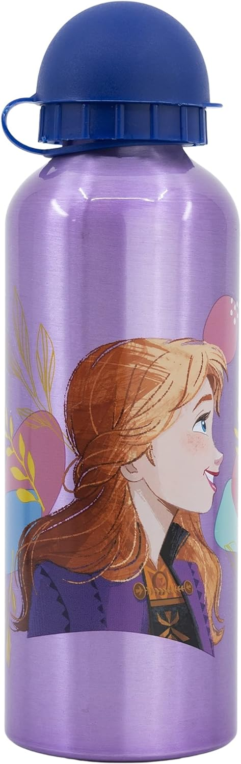 Borraccia in Alluminio Frozen DISNEY con Beccuccio e Coperchio 530 Ml - 74260