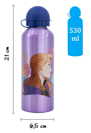 Borraccia in Alluminio Frozen DISNEY con Beccuccio e Coperchio 530 Ml - 74260