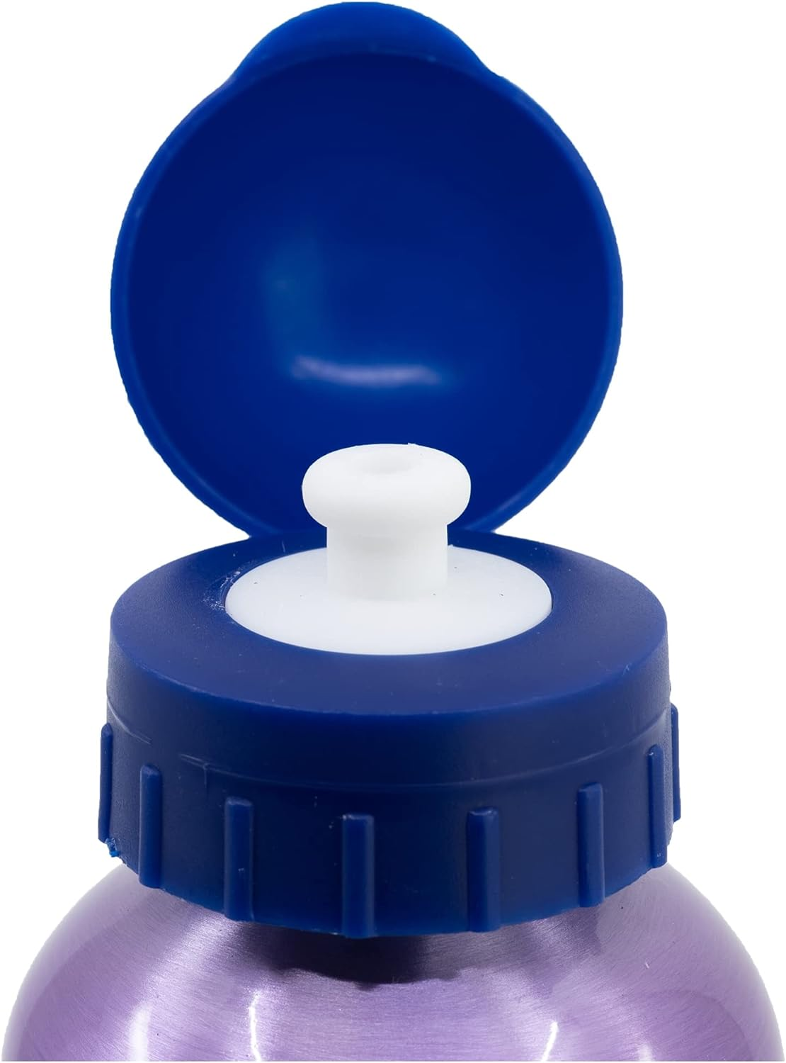 Borraccia in Alluminio Frozen DISNEY con Beccuccio e Coperchio 530 Ml - 74260