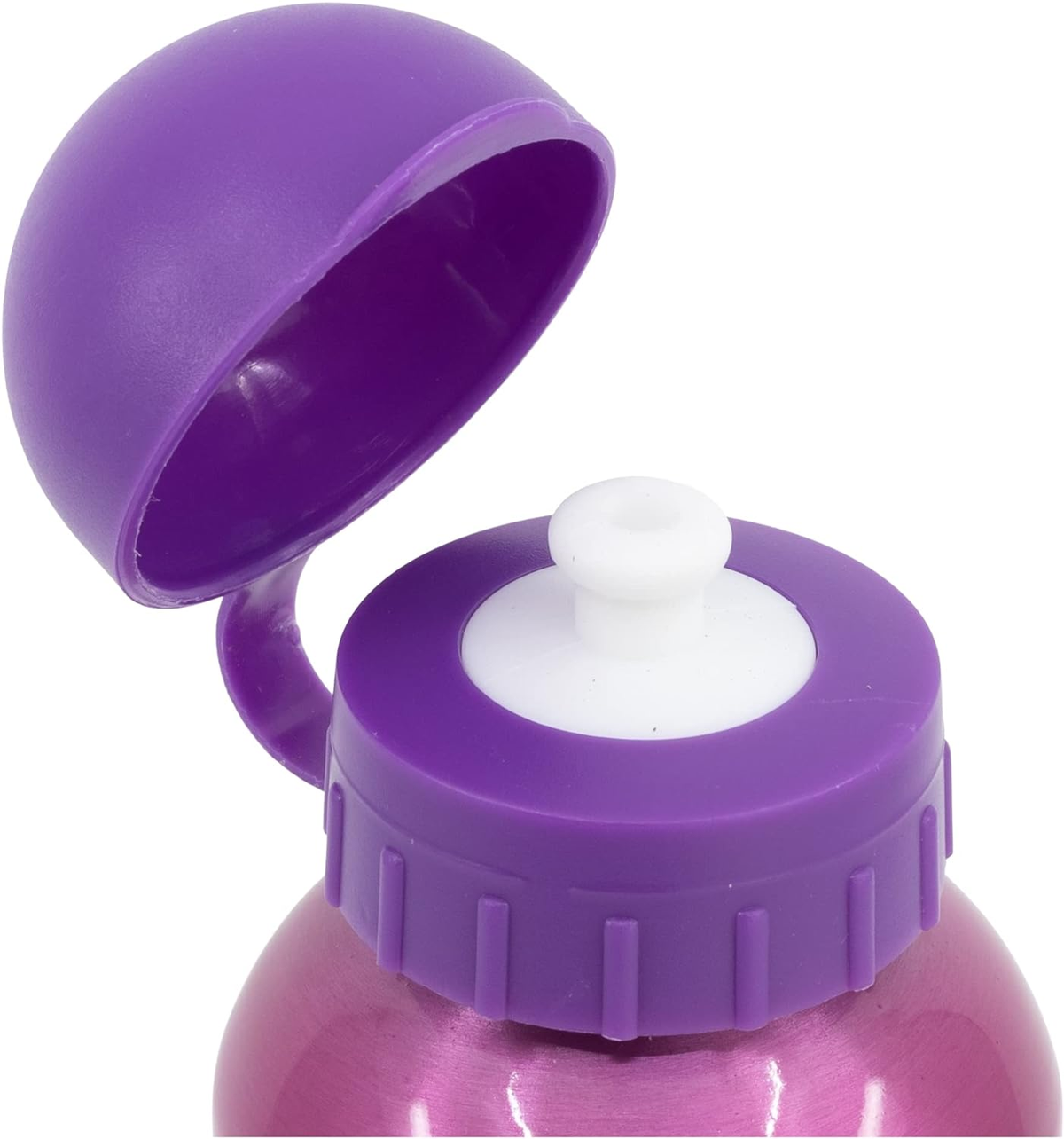 Borraccia in Alluminio Principesse DISNEY con Beccuccio e Coperchio 530 Ml - 51260