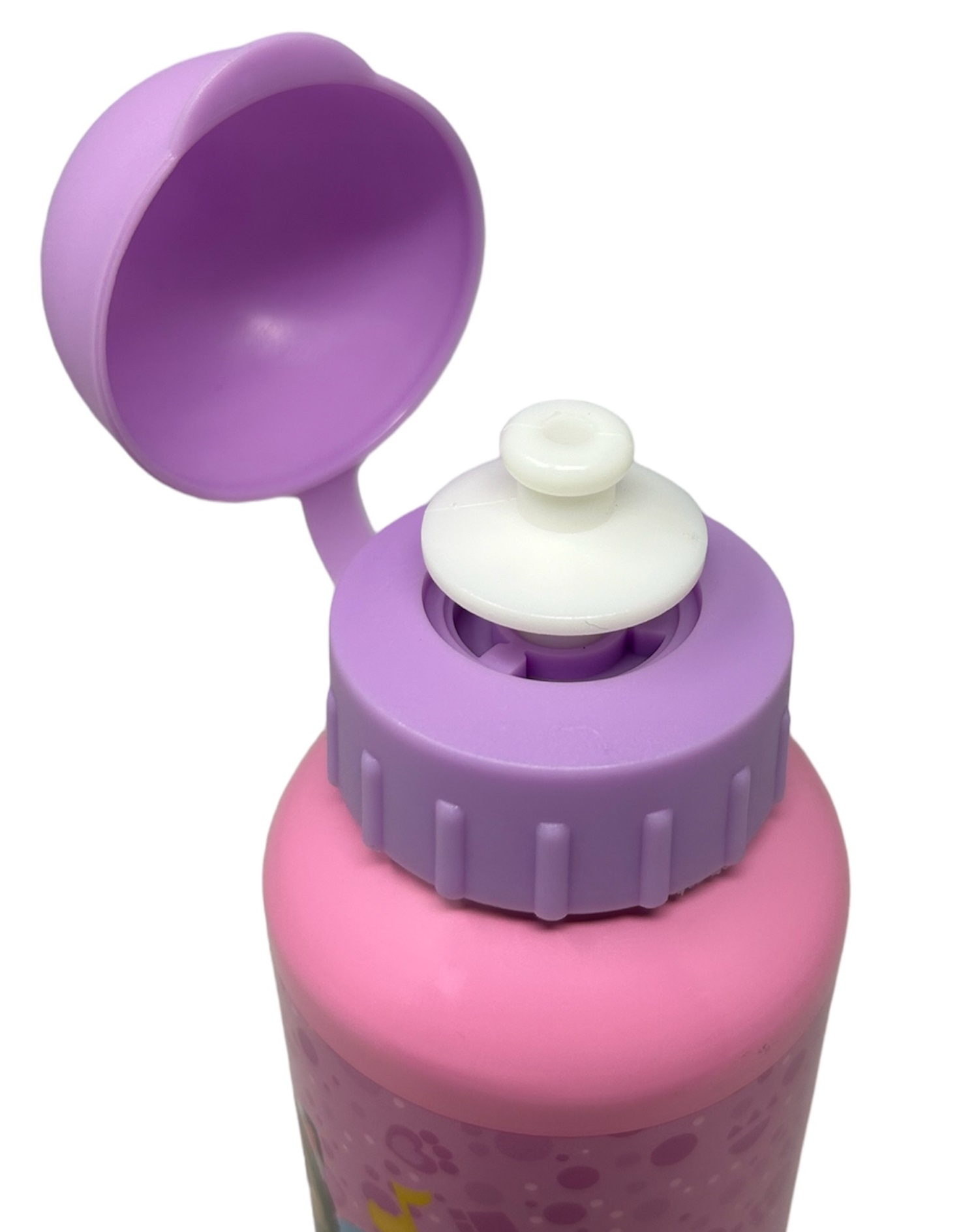Borraccia in Alluminio Gabby's Dollhouse con Beccuccio e Coperchio 500 Ml - O06399mc/l