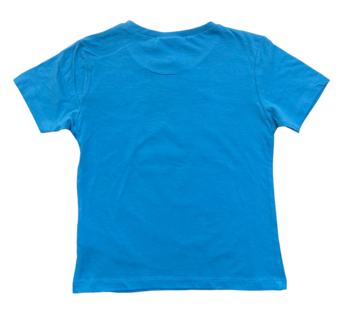 T-Shirt M.c. Pokémon Pikachu e Blastoise Maglietta Bambino 100% Cotone - Ex60265