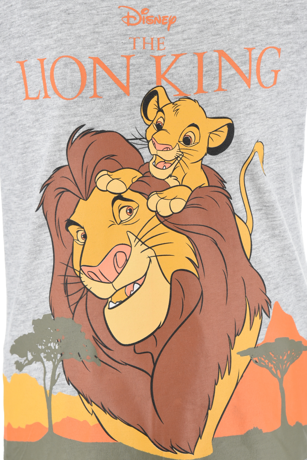 Completo Short + T-Shirt Simba DISNEY Bambino 100% Cotone - Ex1044grigio