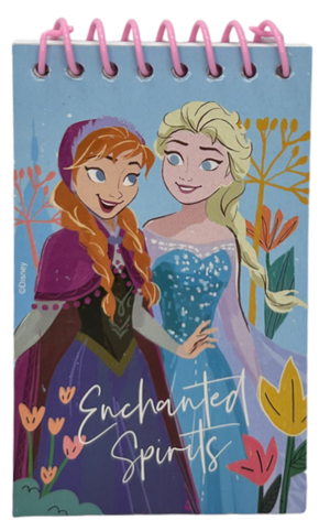 Set Cancelleria Frozen DISNEY 5 Pezzi Block Notes Matita Gomma Temperamatite e Righello - Fr50020