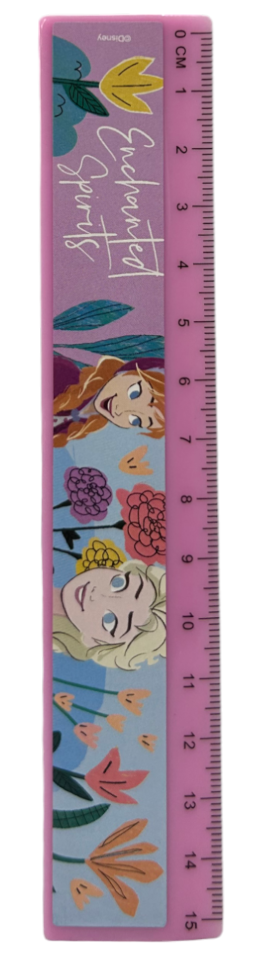 Set Cancelleria Frozen DISNEY 5 Pezzi Block Notes Matita Gomma Temperamatite e Righello - Fr50020