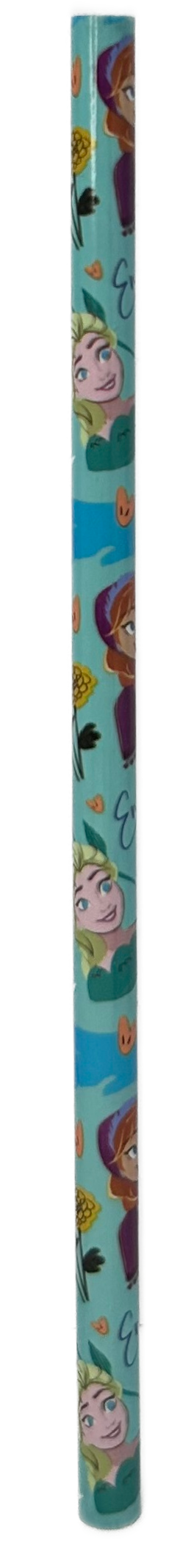 Set Cancelleria Frozen DISNEY 5 Pezzi Block Notes Matita Gomma Temperamatite e Righello - Fr50020