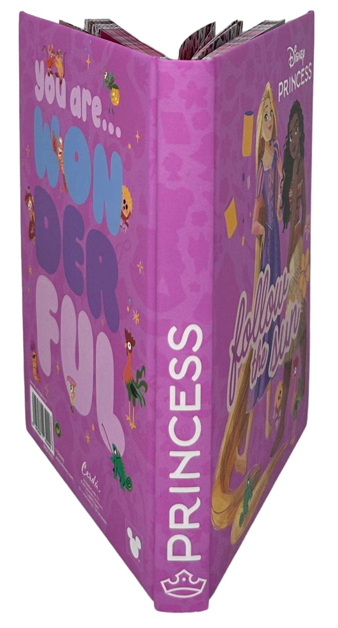 Diario Principesse DISNEY Agenda 10 Mesi Non Datato Scuola Elementare Media - 74330a3151
