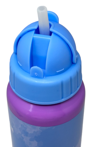 Borraccia in Alluminio con Cannuccia Frozen DISNEY Bottiglia per Bambini 550 Ml - D09504mc/c