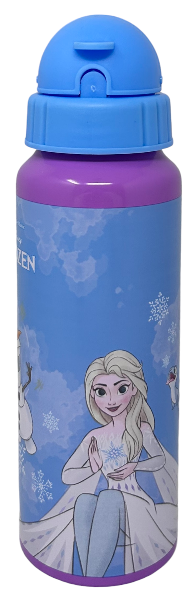 Borraccia in Alluminio con Cannuccia Frozen DISNEY Bottiglia per Bambini 550 Ml - D09504mc/c