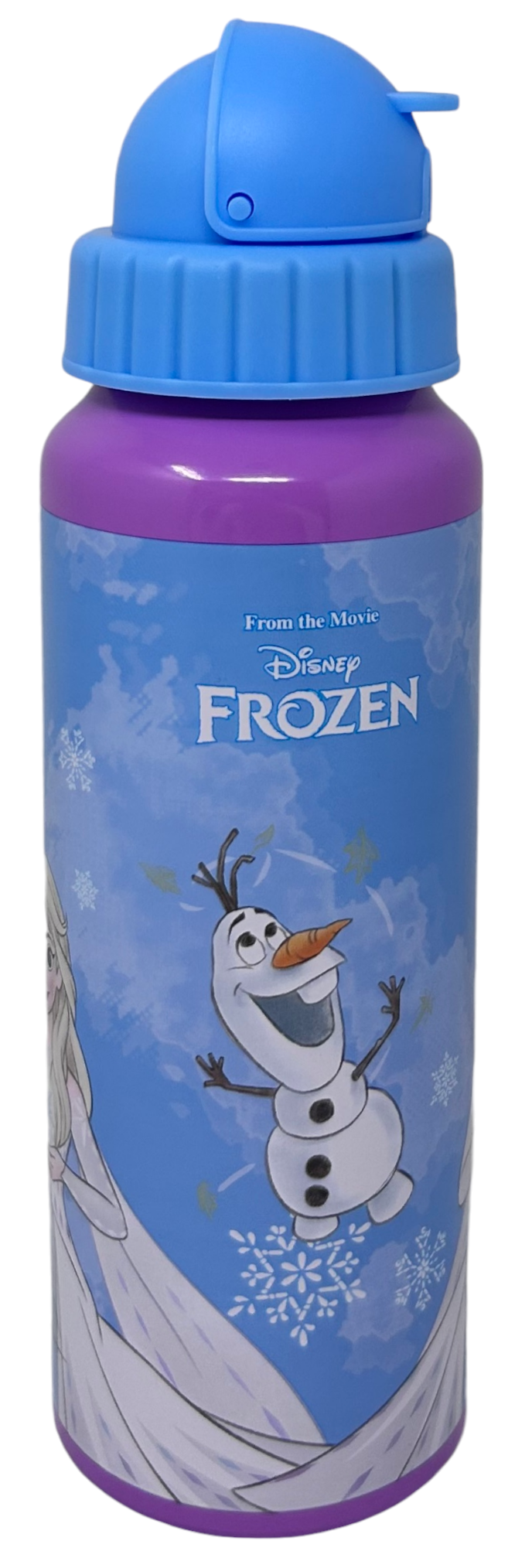 Borraccia in Alluminio con Cannuccia Frozen DISNEY Bottiglia per Bambini 550 Ml - D09504mc/c