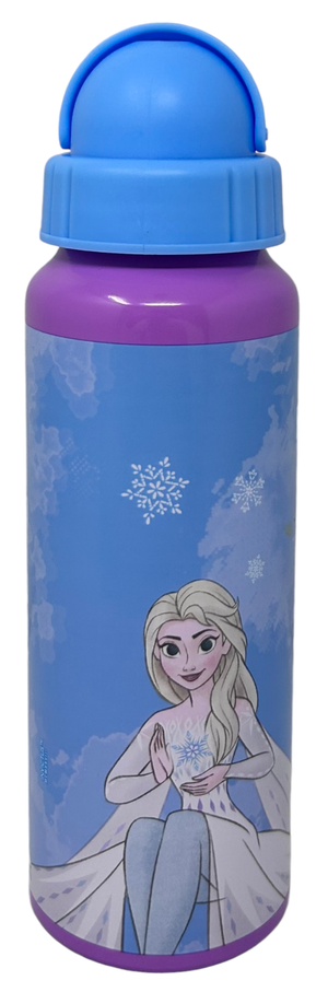 Borraccia in Alluminio con Cannuccia Frozen DISNEY Bottiglia per Bambini 550 Ml - D09504mc/c
