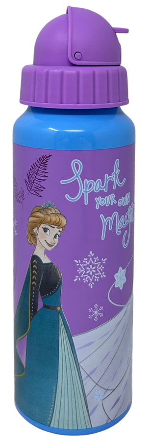 Borraccia in Alluminio con Cannuccia Frozen DISNEY Bottiglia per Bambini 550 Ml - D09504mc/v
