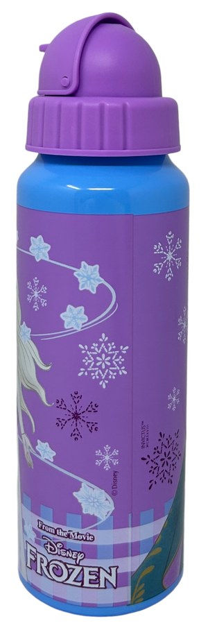 Borraccia in Alluminio con Cannuccia Frozen DISNEY Bottiglia per Bambini 550 Ml - D09504mc/v