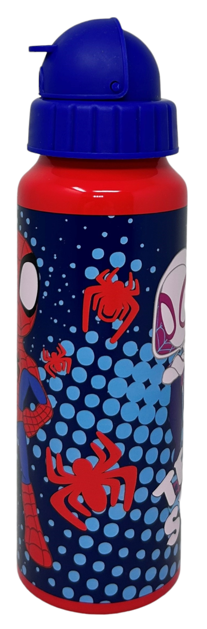 Borraccia in Alluminio con Cannuccia Spidey MARVEL Bottiglia per Bambini 550 Ml - M09509mc/b