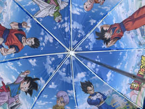 Ombrello Dragon Ball Accessorio per la Pioggia Bambino con Apertura Manuale - A07608mc
