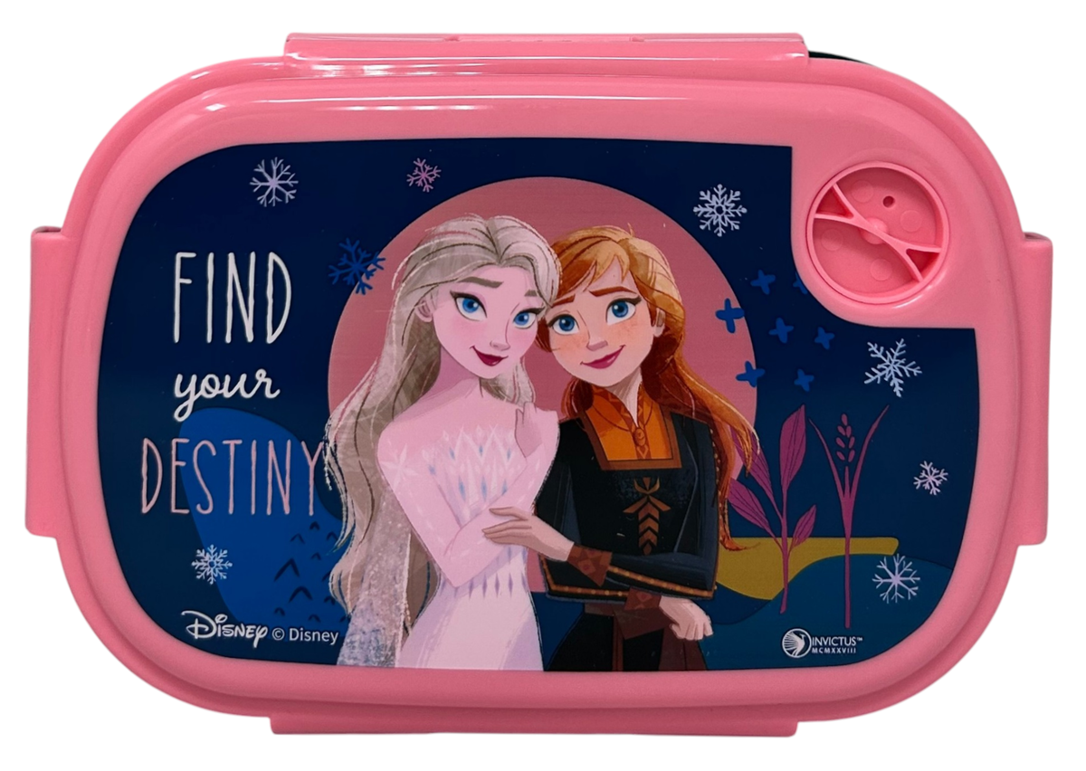 Set Pranzo Frozen DISNEY Borraccia in Alluminio e Portamerenda in Confezione - 35359